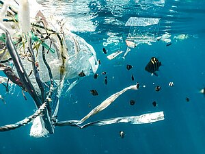 Photo of trash in ocean by Naja Bertolt Jensen
